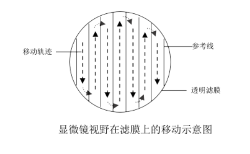 顯微鏡視野在濾膜上的移動示意圖